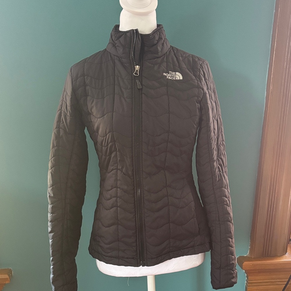 The North Face Women's Quilted Black Ski Jacket